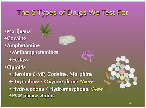 drug test type