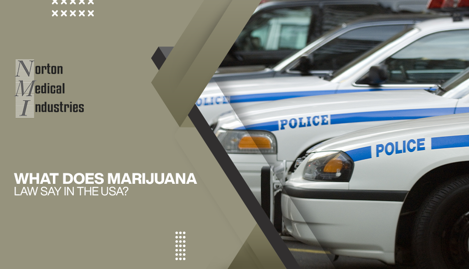 What does Marijuana Law say in the USA